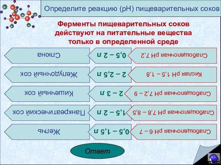 Ферменты пищеварительных соков действуют на питательные вещества только в определенной среде Слюна