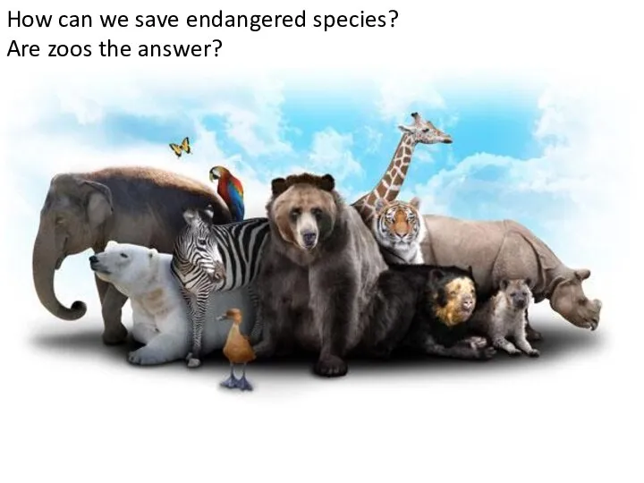 How can we save endangered species? Are zoos the answer?