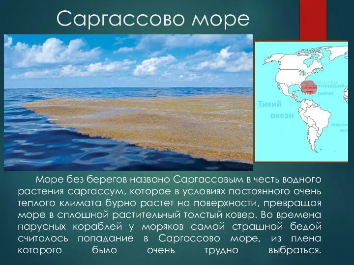 Саргассово море Море без берегов названо Саргассовым в честь водного растения саргассум,