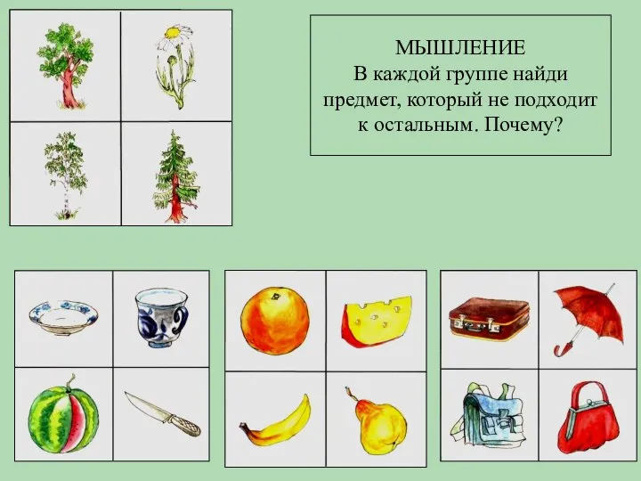 МЫШЛЕНИЕ В каждой группе найди предмет, который не подходит к остальным. Почему?