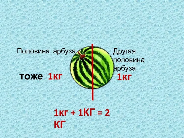 Половина арбуза Другая половина арбуза 1кг тоже 1кг 1кг + 1КГ = 2 КГ