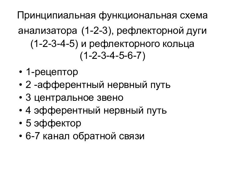 Принципиальная функциональная схема анализатора (1-2-3), рефлекторной дуги(1-2-3-4-5) и рефлекторного кольца (1-2-3-4-5-6-7) 1-рецептор