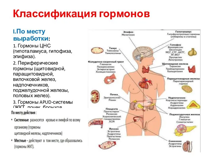 Классификация гормонов I.По месту выработки: 1. Гормоны ЦНС (гипоталамуса, гипофиза, эпифиза). 2.