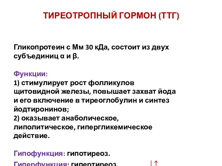 ТИРЕОТРОПНЫЙ ГОРМОН (ТТГ) Гликопротеин с Мм 30 кДа, состоит из двух субъединиц