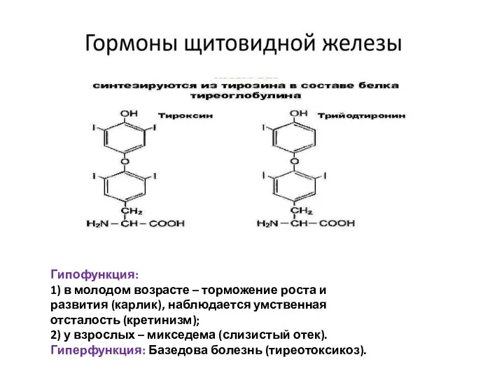 Гипофункция: 1) в молодом возрасте – торможение роста и развития (карлик), наблюдается