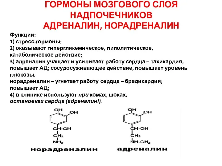 ГОРМОНЫ МОЗГОВОГО СЛОЯ НАДПОЧЕЧНИКОВ АДРЕНАЛИН, НОРАДРЕНАЛИН Функции: 1) стресс-гормоны; 2) оказывают гипергликемическое,