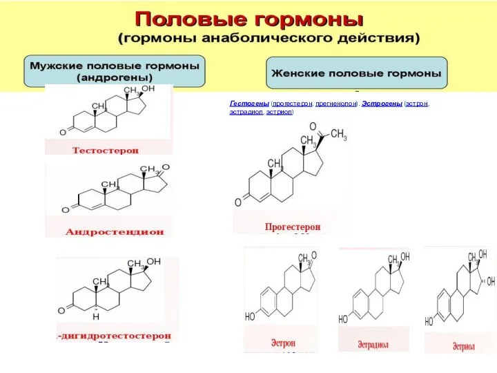 Гестогены (прогестерон, прегненолон). Эстрогены (эстрон, эстрадиол, эстриол)