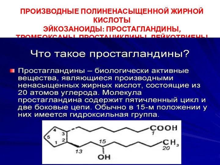 ПРОИЗВОДНЫЕ ПОЛИНЕНАСЫЩЕННОЙ ЖИРНОЙ КИСЛОТЫ ЭЙКОЗАНОИДЫ: ПРОСТАГЛАНДИНЫ, ТРОМБОКСАНЫ, ПРОСТАЦИКЛИНЫ, ЛЕЙКОТРИЕНЫ