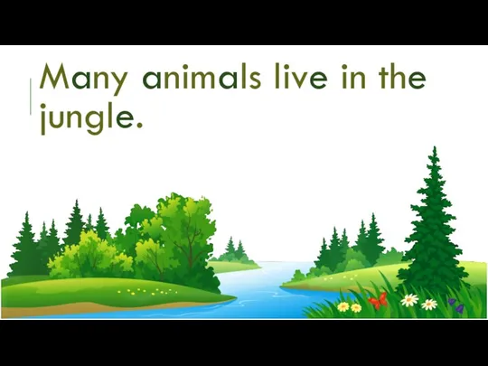 Many animals live in the jungle.