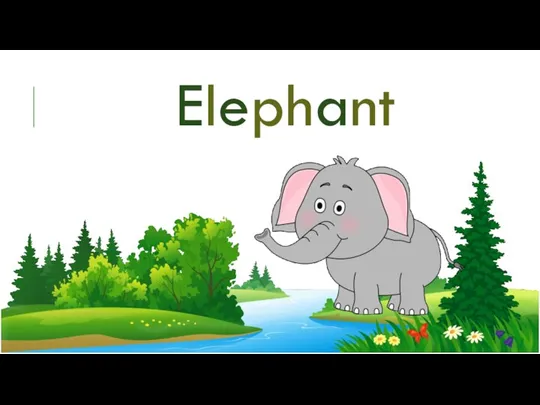 Elephant