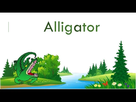 Alligator