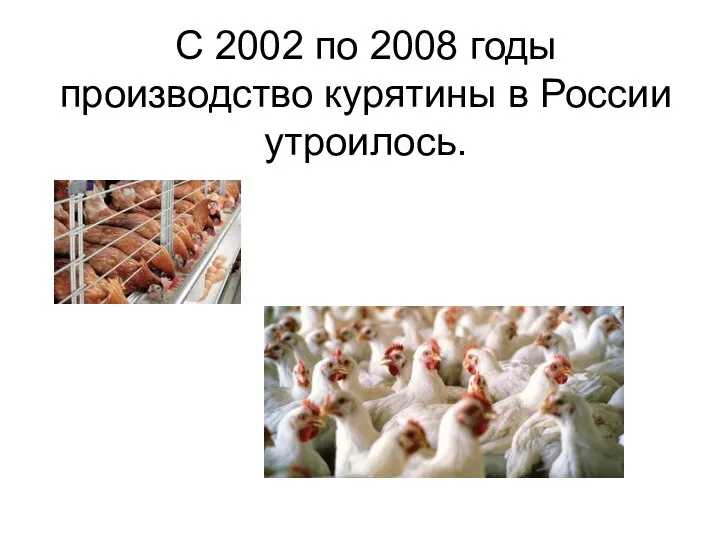С 2002 по 2008 годы производство курятины в России утроилось.