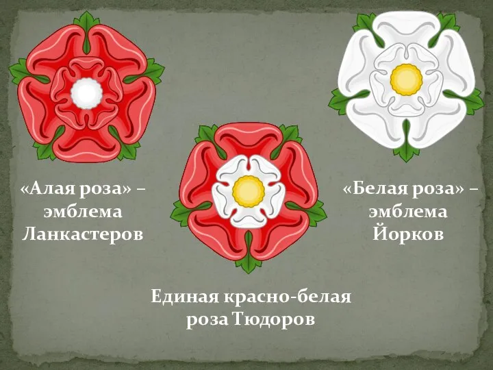 «Алая роза» – эмблема Ланкастеров «Белая роза» – эмблема Йорков Единая красно-белая роза Тюдоров