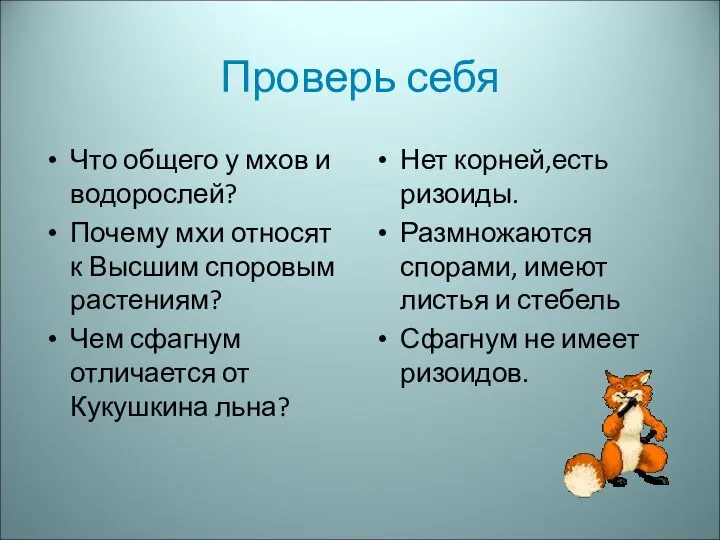 Проверь себя Что общего у мхов и водорослей? Почему мхи относят к