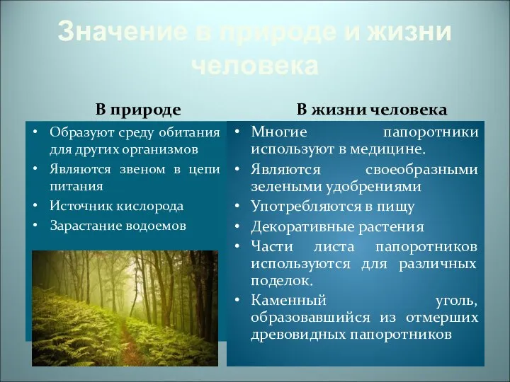 Значение в природе и жизни человека В природе Образуют среду обитания для