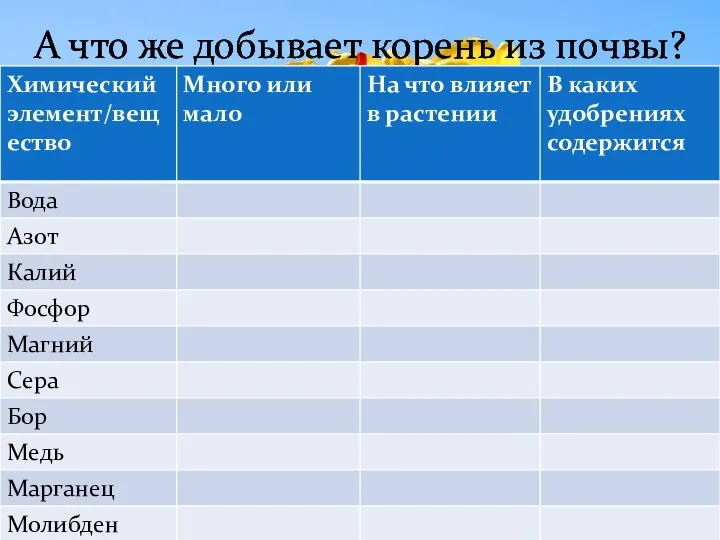 А что же добывает корень из почвы?