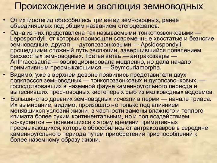 Происхождение и эволюция земноводных От ихтиостегид обособились три ветви земноводных, ранее объединяемых