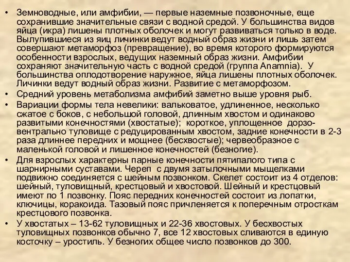 Земноводные, или амфибии, — первые наземные позвоночные, еще сохранившие значительные связи с