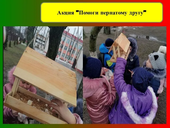 Акция "Помоги пернатому другу"