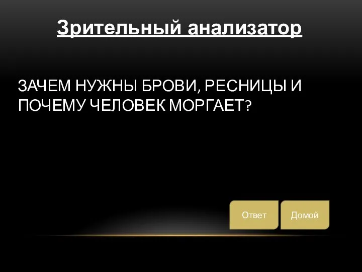 ЗАЧЕМ НУЖНЫ БРОВИ, РЕСНИЦЫ И ПОЧЕМУ ЧЕЛОВЕК МОРГАЕТ? Зрительный анализатор Домой Ответ