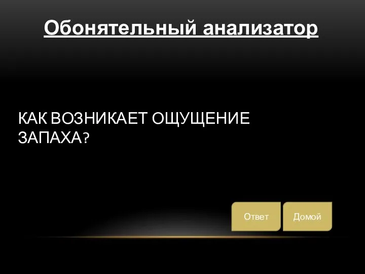 КАК ВОЗНИКАЕТ ОЩУЩЕНИЕ ЗАПАХА? Домой Ответ Обонятельный анализатор