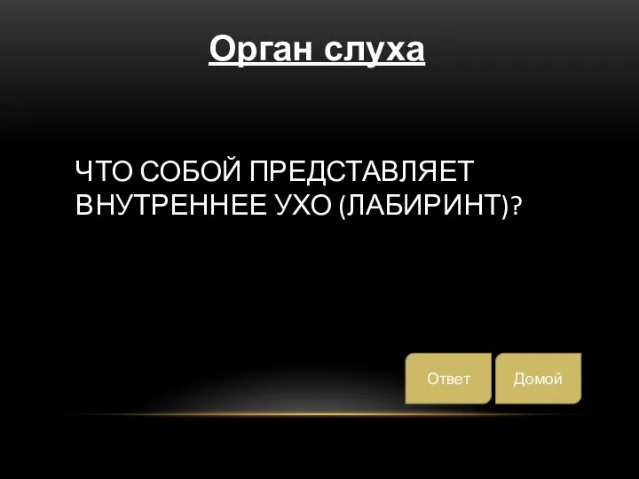 ЧТО СОБОЙ ПРЕДСТАВЛЯЕТ ВНУТРЕННЕЕ УХО (ЛАБИРИНТ)? Домой Ответ Орган слуха