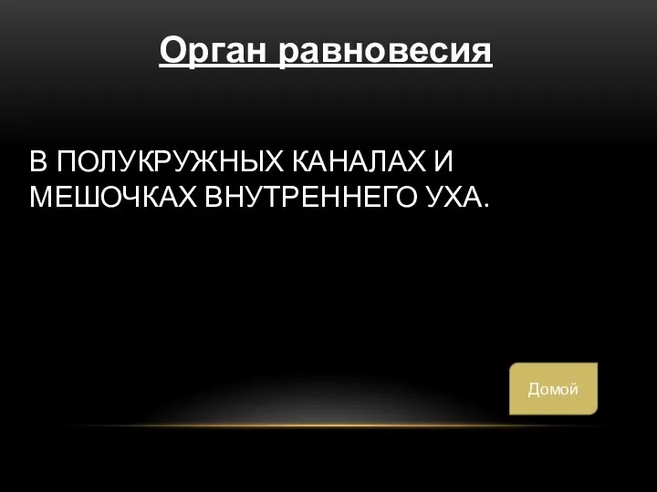 В ПОЛУКРУЖНЫХ КАНАЛАХ И МЕШОЧКАХ ВНУТРЕННЕГО УХА. Орган равновесия Домой