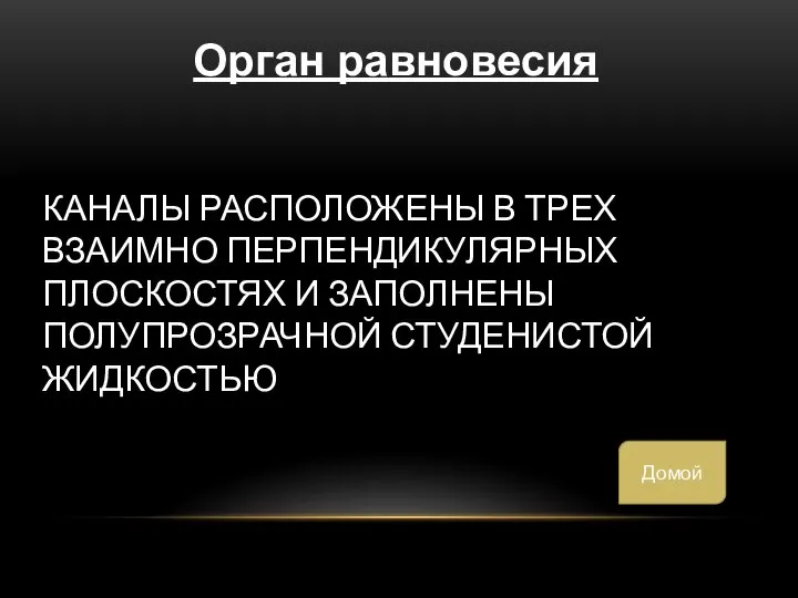 КАНАЛЫ РАСПОЛОЖЕНЫ В ТРЕХ ВЗАИМНО ПЕРПЕНДИКУЛЯРНЫХ ПЛОСКОСТЯХ И ЗАПОЛНЕНЫ ПОЛУПРОЗРАЧНОЙ СТУДЕНИСТОЙ ЖИДКОСТЬЮ Орган равновесия Домой