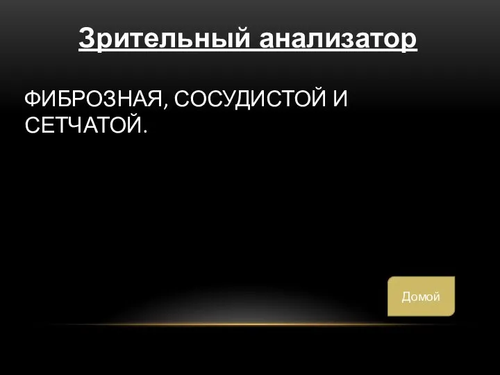 ФИБРОЗНАЯ, СОСУДИСТОЙ И СЕТЧАТОЙ. Зрительный анализатор Домой