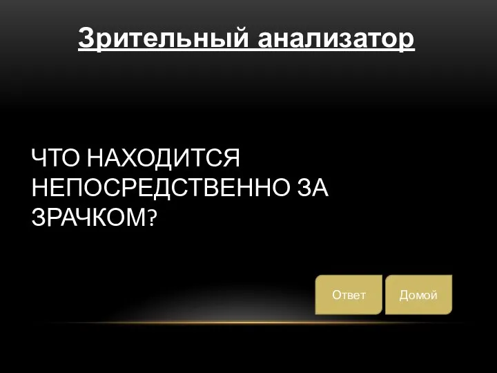 ЧТО НАХОДИТСЯ НЕПОСРЕДСТВЕННО ЗА ЗРАЧКОМ? Домой Зрительный анализатор Ответ