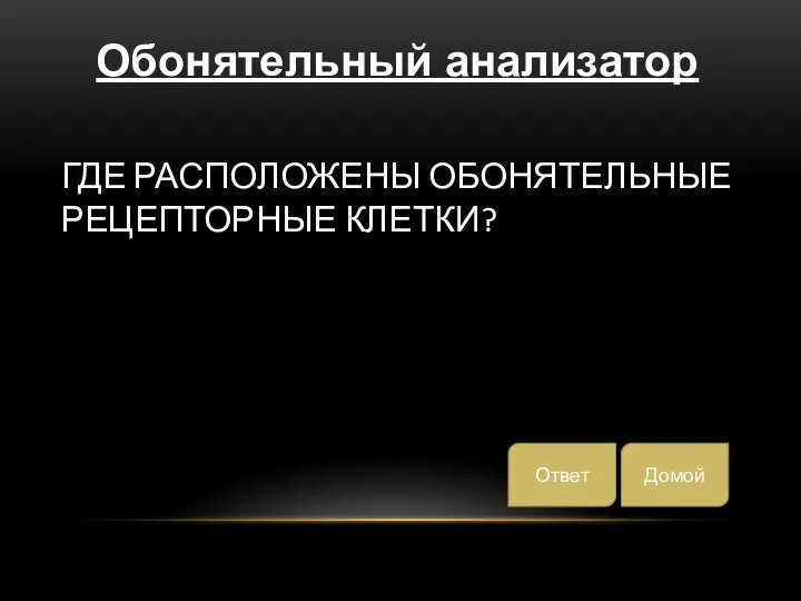 ГДЕ РАСПОЛОЖЕНЫ ОБОНЯТЕЛЬНЫЕ РЕЦЕПТОРНЫЕ КЛЕТКИ? Обонятельный анализатор Домой Ответ