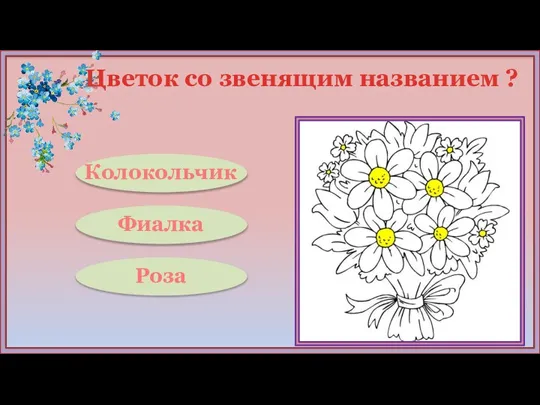 Цветок со звенящим названием ? Колокольчик