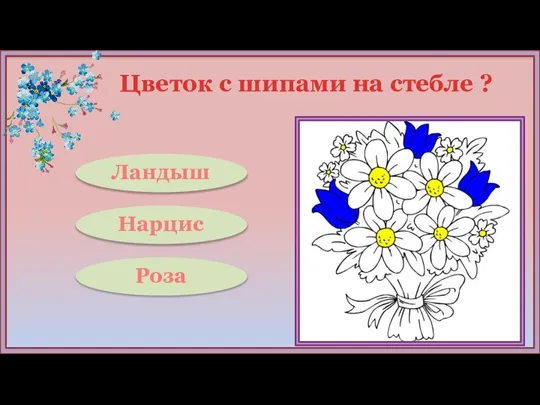 Цветок с шипами на стебле ? Роза