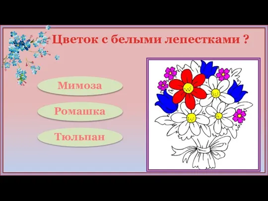 Цветок с белыми лепестками ? Ромашка