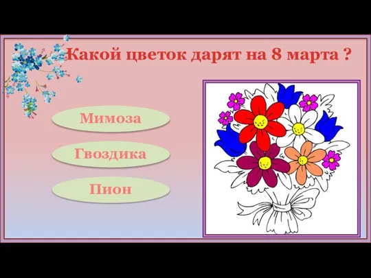 Какой цветок дарят на 8 марта ? Мимоза