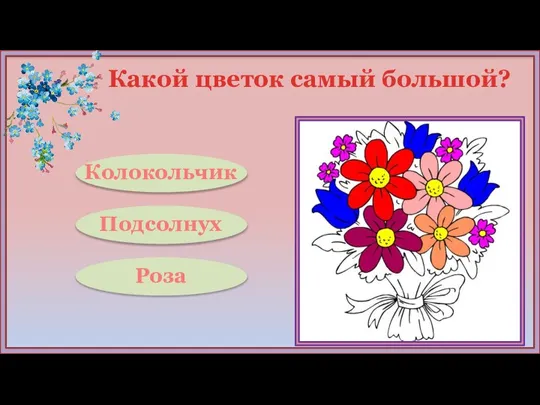 Какой цветок самый большой? Подсолнух