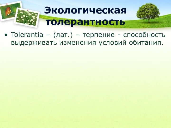 Экологическая толерантность Tolerantia – (лат.) – терпение - способность выдерживать изменения условий обитания.