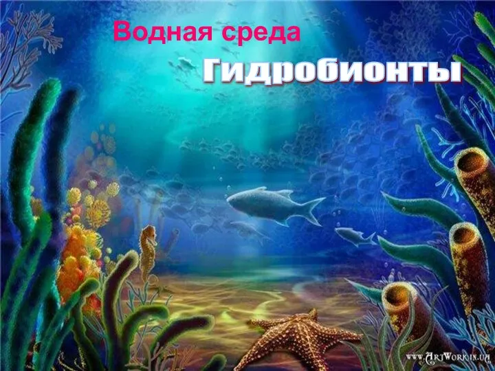 Водная среда Гидробионты