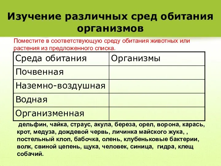 Изучение различных сред обитания организмов дельфин, чайка, страус, акула, береза, орел, ворона,