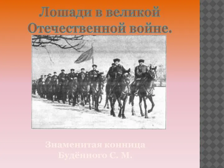 Лошади в великой Отечественной войне. Знаменитая конница Будённого С. М.