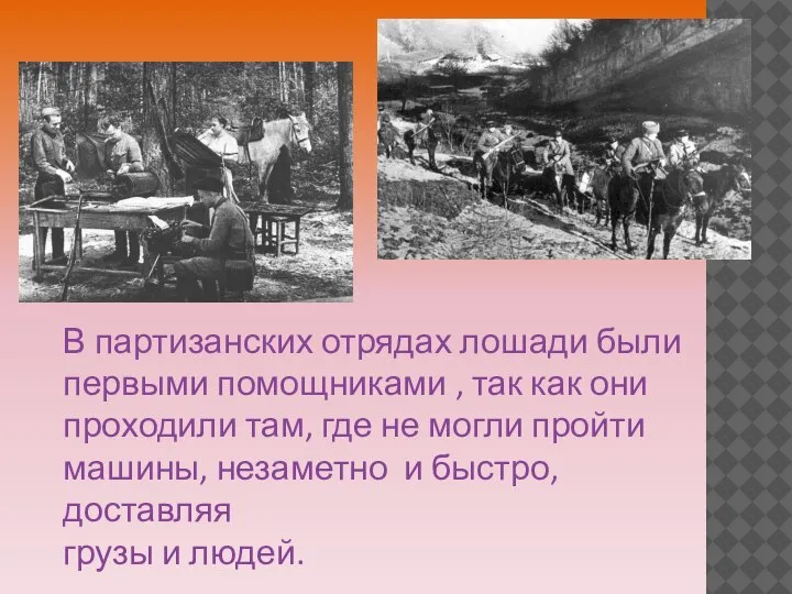 В партизанских отрядах лошади были первыми помощниками , так как они проходили