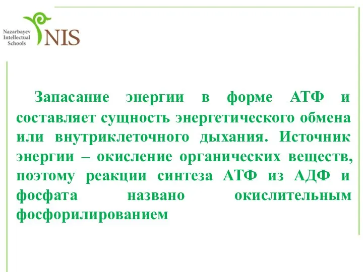 Запасание энергии в форме АТФ и составляет сущность энергетического обмена или внутриклеточного