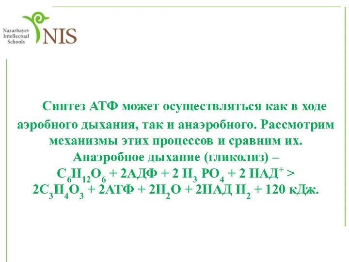 Синтез АТФ может осуществляться как в ходе аэробного дыхания, так и анаэробного.