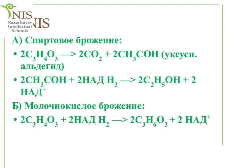 А) Спиртовое брожение: 2С3Н4О3 —> 2СО2 + 2СН3СОН (уксусн. альдегид) 2СН3СОН +