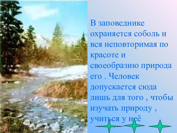 В заповеднике охраняется соболь и вся неповторимая по красоте и своеобразию природа