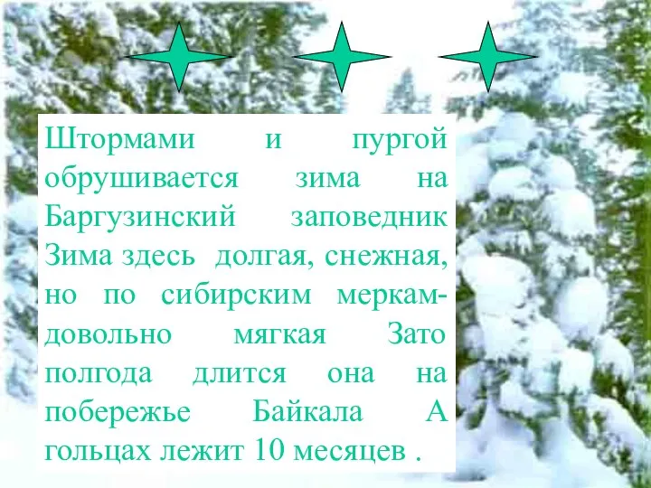 Штормами и пургой обрушивается зима на Баргузинский заповедник Зима здесь долгая, снежная,