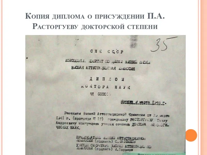 Копия диплома о присуждении П.А.Расторгуеву докторской степени