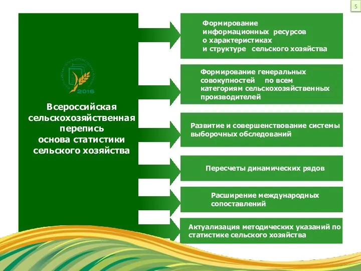 Всероссийская сельскохозяйственная перепись основа статистики сельского хозяйства Формирование информационных ресурсов о характеристиках