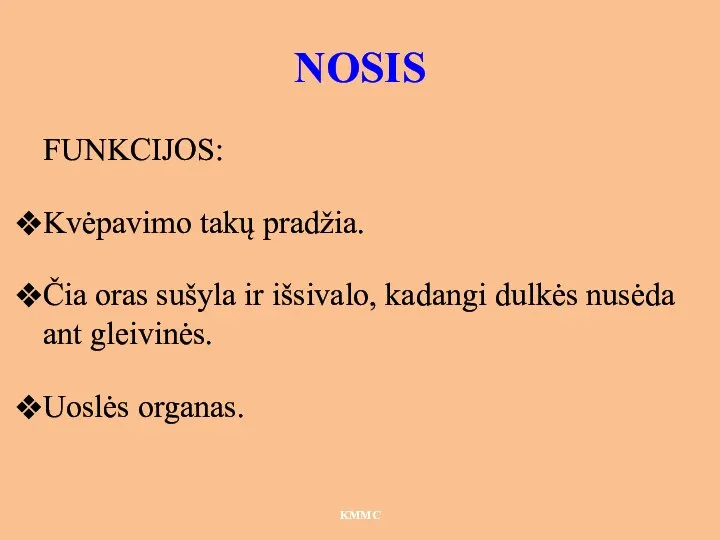 NOSIS FUNKCIJOS: Kvėpavimo takų pradžia. Čia oras sušyla ir išsivalo, kadangi dulkės