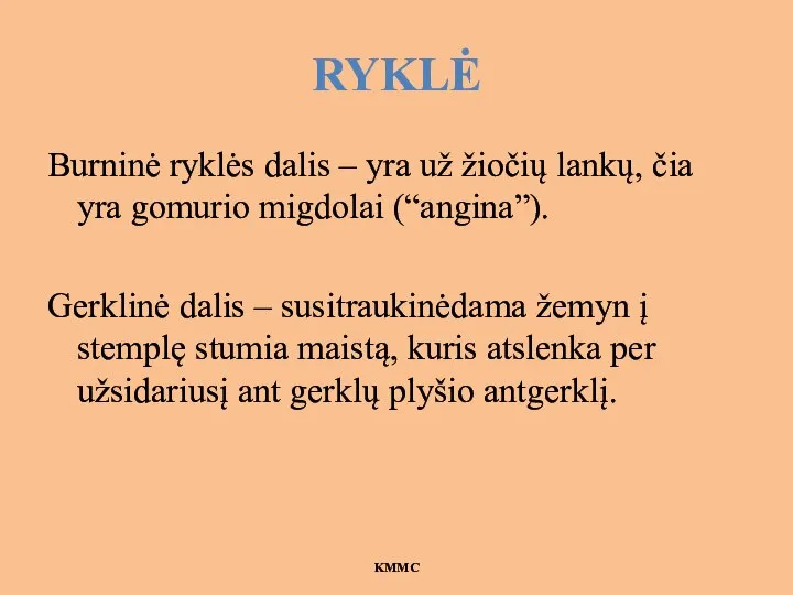 RYKLĖ Burninė ryklės dalis – yra už žiočių lankų, čia yra gomurio